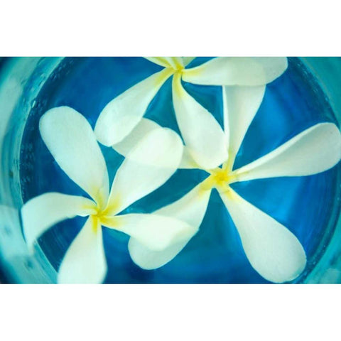 Floating Flowers II White Modern Wood Framed Art Print by Millet, Karyn