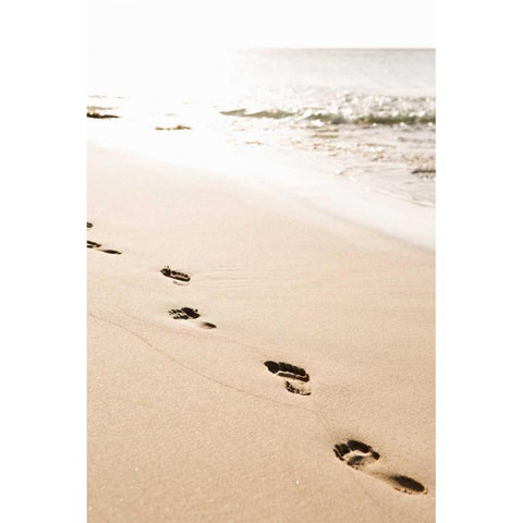Beach Walk Black Modern Wood Framed Art Print with Double Matting by Millet, Karyn