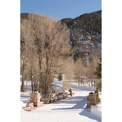 Snowy Path Gold Ornate Wood Framed Art Print with Double Matting by Millet, Karyn