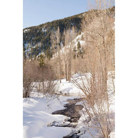 Snow in the Mountains Gold Ornate Wood Framed Art Print with Double Matting by Millet, Karyn