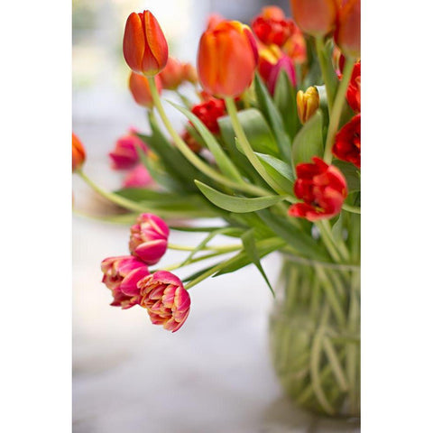 Blooming Tulips Black Modern Wood Framed Art Print by Millet, Karyn