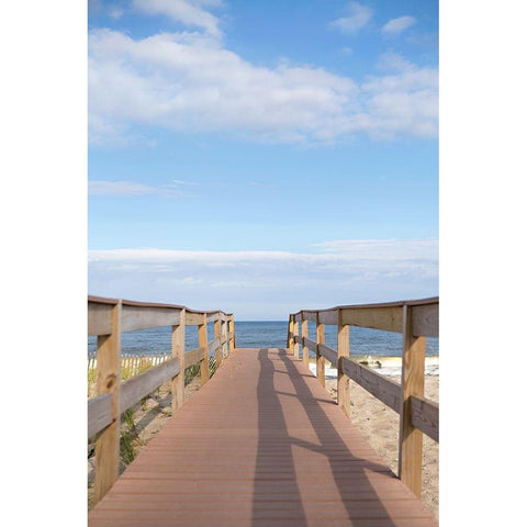 Ocean Pier Gold Ornate Wood Framed Art Print with Double Matting by Millet, Karyn