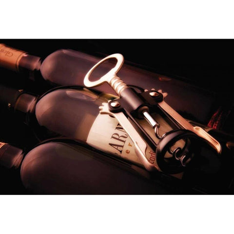 Wine and Corkscrew Black Modern Wood Framed Art Print with Double Matting by McNemar, C. Thomas