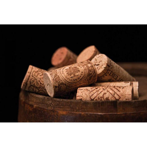 Corks White Modern Wood Framed Art Print by McNemar, C. Thomas