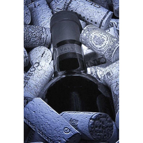 Buried Wine Bottle Black Modern Wood Framed Art Print with Double Matting by McNemar, C. Thomas