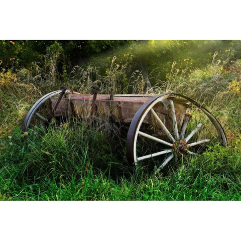 Abandoned Farm Equipment White Modern Wood Framed Art Print by McNemar, C. Thomas