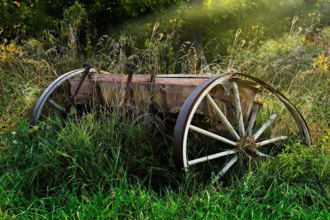 Abandoned Farm Equipment Black Ornate Wood Framed Art Print with Double Matting by McNemar, C. Thomas