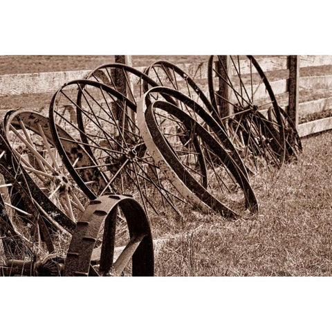 Antique Wagon Wheels II White Modern Wood Framed Art Print by McNemar, C. Thomas