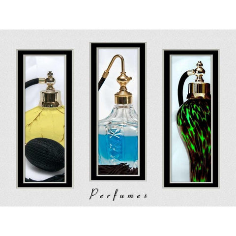 Perfume Triptych III Gold Ornate Wood Framed Art Print with Double Matting by McNemar, C. Thomas