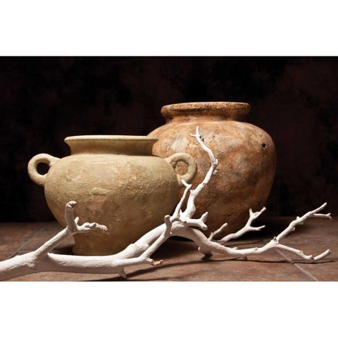 Pottery with Branch I Black Modern Wood Framed Art Print by McNemar, C. Thomas