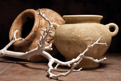 Pottery with Branch II White Modern Wood Framed Art Print with Double Matting by McNemar, C. Thomas