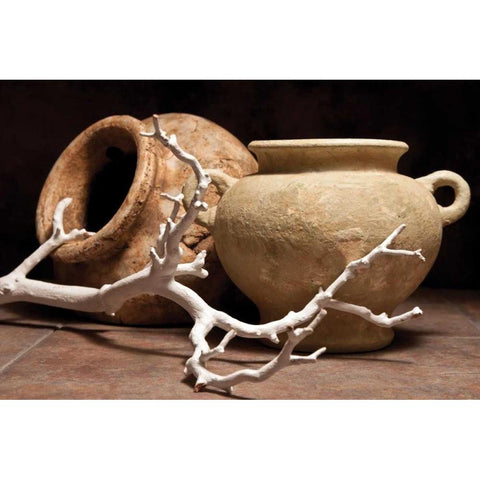 Pottery with Branch II White Modern Wood Framed Art Print by McNemar, C. Thomas