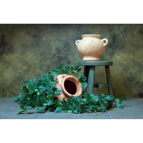 Pottery with Ivy I White Modern Wood Framed Art Print by McNemar, C. Thomas