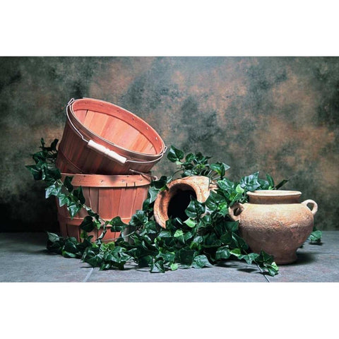 Pottery with Ivy II Gold Ornate Wood Framed Art Print with Double Matting by McNemar, C. Thomas