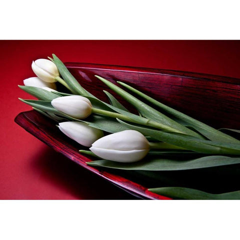 Tulips II White Modern Wood Framed Art Print by McNemar, C. Thomas