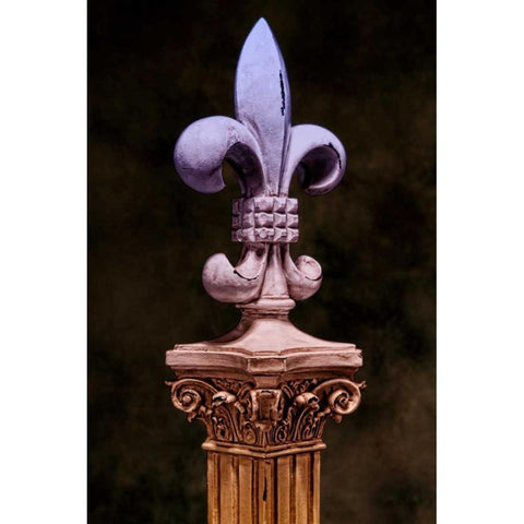 Fleur de Lis I Black Modern Wood Framed Art Print with Double Matting by McNemar, C. Thomas