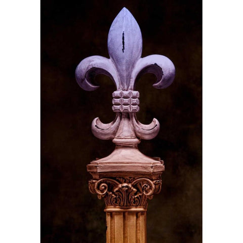 Fleur de Lis II Black Modern Wood Framed Art Print with Double Matting by McNemar, C. Thomas