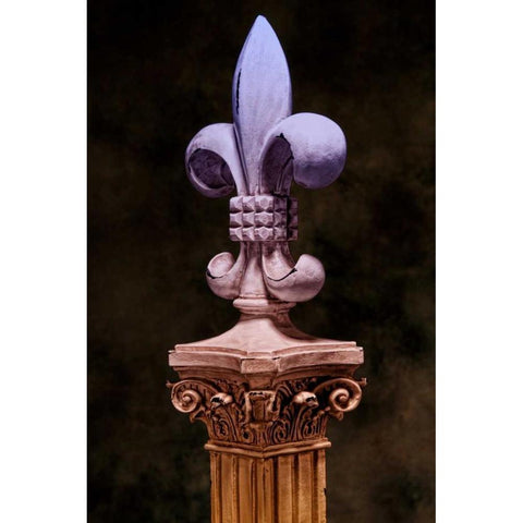 Fleur de Lis III Black Modern Wood Framed Art Print with Double Matting by McNemar, C. Thomas