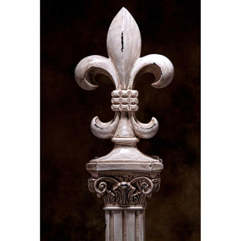 Fleur de Lis V Black Modern Wood Framed Art Print with Double Matting by McNemar, C. Thomas