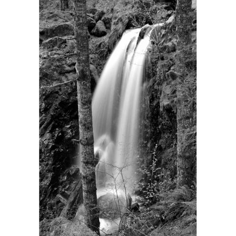 Waterfall I Gold Ornate Wood Framed Art Print with Double Matting by Moore, Brian