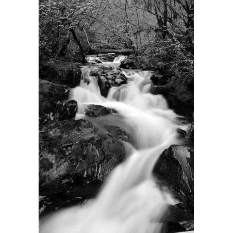 Waterfall II Black Modern Wood Framed Art Print with Double Matting by Moore, Brian