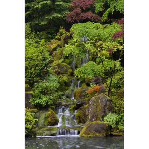 Japanese Gardens I Black Modern Wood Framed Art Print with Double Matting by Moore, Brian