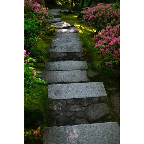 Garden Stairs I Black Modern Wood Framed Art Print with Double Matting by Moore, Brian