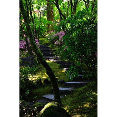 Garden Stairs II Black Modern Wood Framed Art Print with Double Matting by Moore, Brian