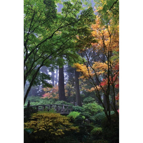 Japanese Gardens III Gold Ornate Wood Framed Art Print with Double Matting by Moore, Brian