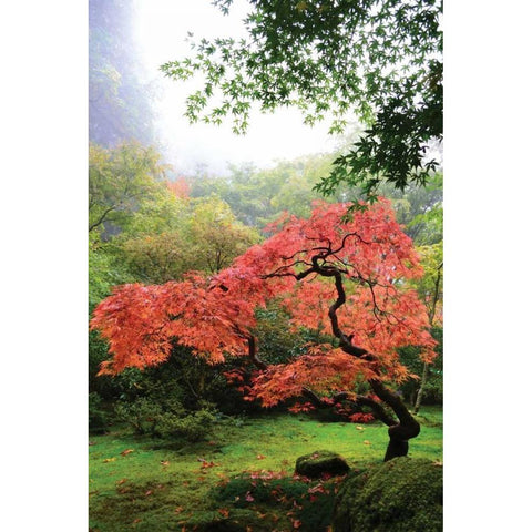 Japanese Gardens IV Gold Ornate Wood Framed Art Print with Double Matting by Moore, Brian