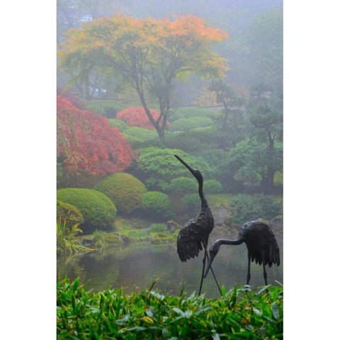 Gardens in the Fog I Black Modern Wood Framed Art Print with Double Matting by Moore, Brian