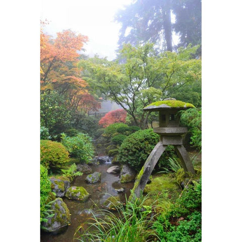 Gardens in the Fog II White Modern Wood Framed Art Print by Moore, Brian