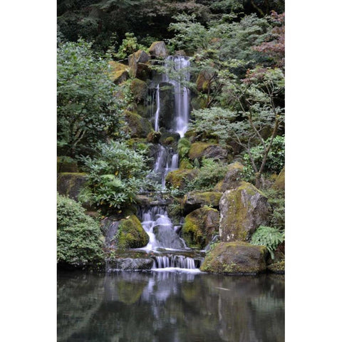 Japanese Gardens VI Black Modern Wood Framed Art Print with Double Matting by Moore, Brian