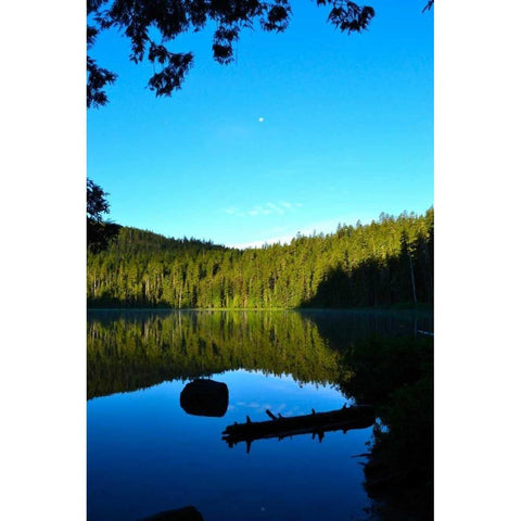 Morning at the Lake I White Modern Wood Framed Art Print by Moore, Brian