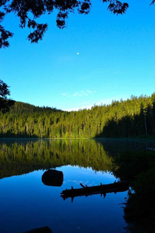 Morning at the Lake I White Modern Wood Framed Art Print with Double Matting by Moore, Brian