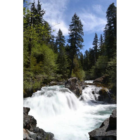 Rapids I White Modern Wood Framed Art Print by Moore, Brian