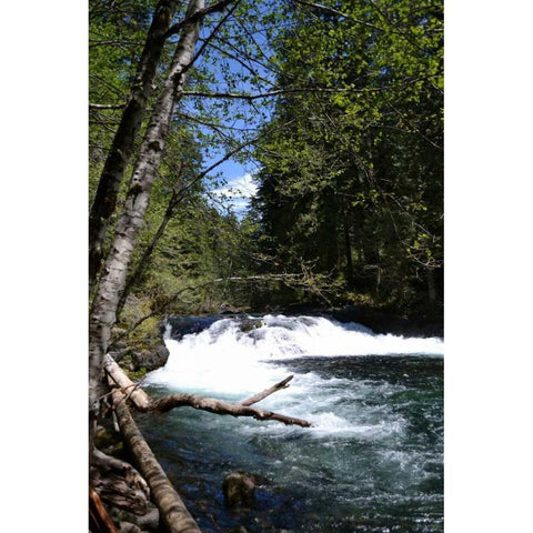 Rapids II Black Modern Wood Framed Art Print with Double Matting by Moore, Brian