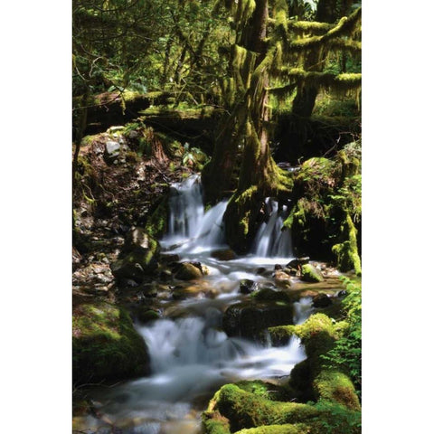 Falls in the Forest I Gold Ornate Wood Framed Art Print with Double Matting by Moore, Brian