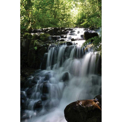 Falls in the Forest II Black Modern Wood Framed Art Print with Double Matting by Moore, Brian