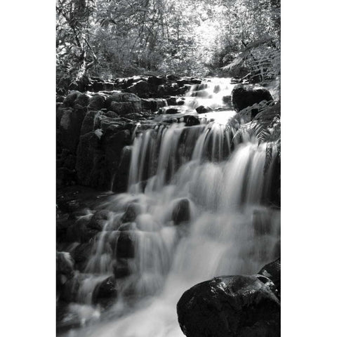 BW Falls in the Forest III Gold Ornate Wood Framed Art Print with Double Matting by Moore, Brian