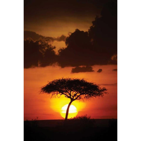 Kenya Sunrise Black Modern Wood Framed Art Print with Double Matting by Parker, Susann