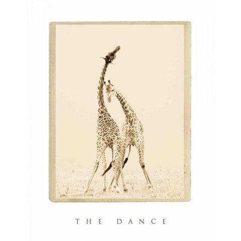 The Dance White Modern Wood Framed Art Print by Parker, Susann