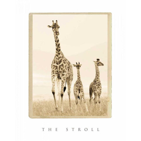 The Stroll Gold Ornate Wood Framed Art Print with Double Matting by Parker, Susann