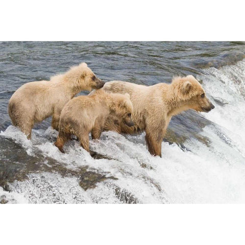 Day at the Falls Gold Ornate Wood Framed Art Print with Double Matting by Parker, Susann