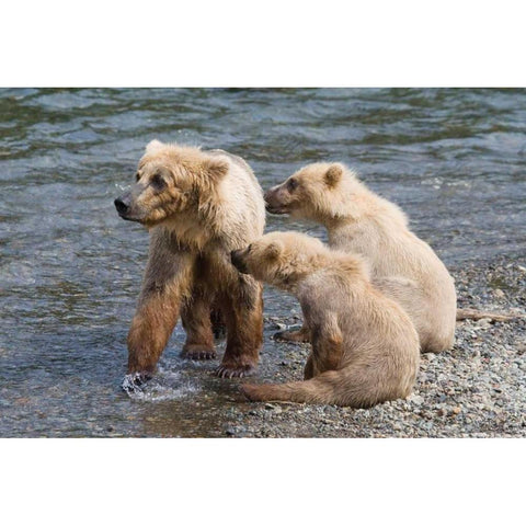 Training Day Gold Ornate Wood Framed Art Print with Double Matting by Parker, Susann