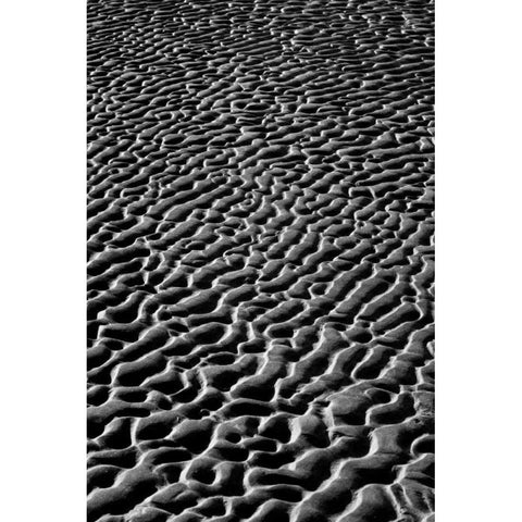 Texture Sand V White Modern Wood Framed Art Print by Peterson, Lee