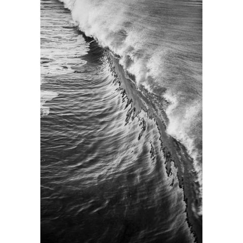 Wave III White Modern Wood Framed Art Print by Peterson, Lee