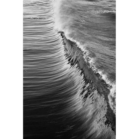 Wave IV White Modern Wood Framed Art Print by Peterson, Lee