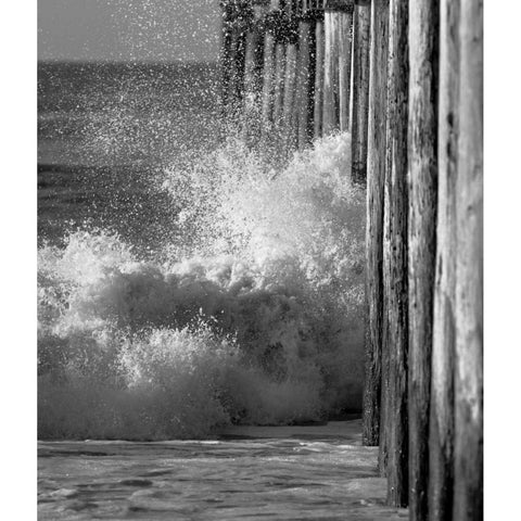 Wave VII White Modern Wood Framed Art Print by Peterson, Lee