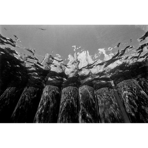 Pier Pilings I Black Modern Wood Framed Art Print with Double Matting by Peterson, Lee